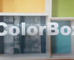 catálogo papel color box