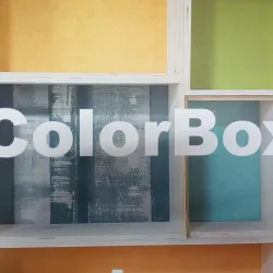 catálogo papel color box