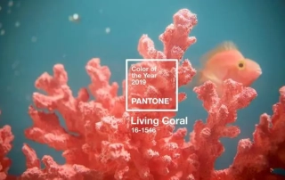 pantone 2019 coral